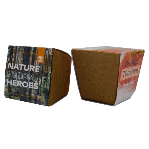 Sustainable grow kit - Image 2